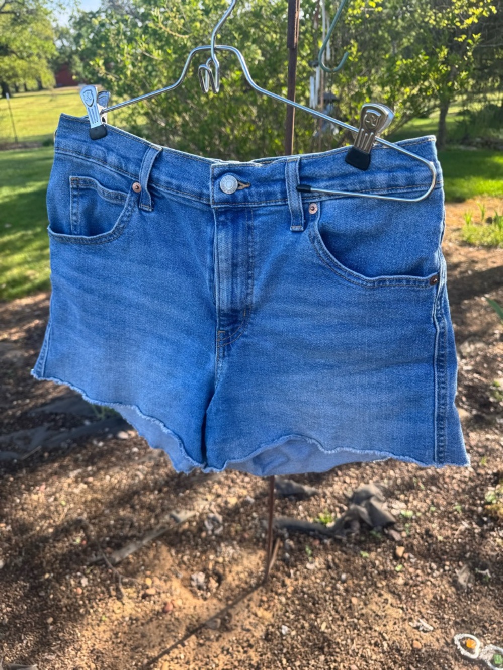 Levi's Light Blue High-Rise Denim Cutoff Shorts